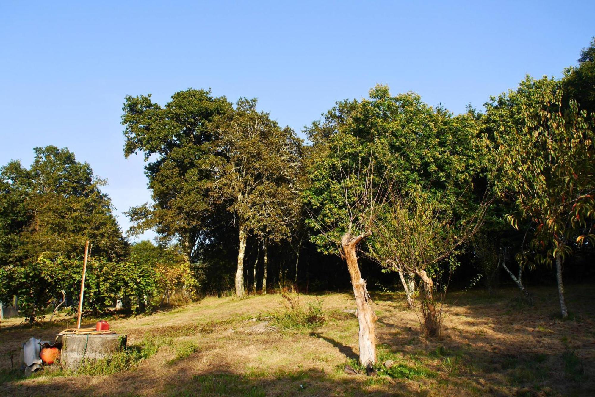 Casa Ermitas - Relajate En Plena Naturaleza A Estrada Esterno foto